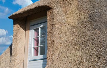 Spring Bank thatch roof disadvantages